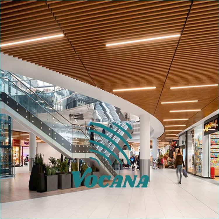 Lightweight Fireproof WPC Ceiling System for Shopping Mall Atrium & Large-Span Retail Pavilion Structures suppliers